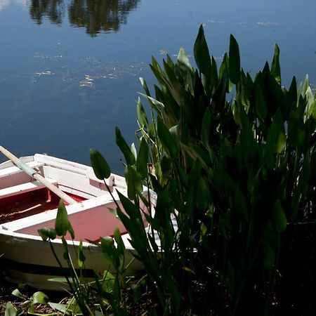 Herdades Da Frupor - Casas De Campo Brejao Eksteriør bilde